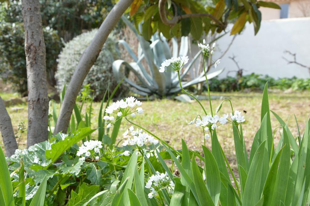 Villa Maredda La Ciotat Eksteriør bilde